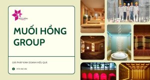 Thi công spa đá muối hồng ngoại